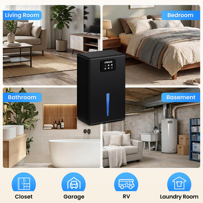 Dehumidifier, 1000 sq.ft Quiet Dehumidifiers for Home Bedroom Basement Bathroom with 95oz Water Tank, Sleep Mode, Auto Shut-Off 7 Colors LED Light, Grey